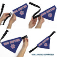 Load image into Gallery viewer, Pet Bandana - BIG SISTER Text and Paw Blues/Lavender