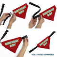 Load image into Gallery viewer, Pet Bandana - BIRTHDAY BOY Text Red/Yellow/Blue/White