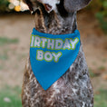 Load image into Gallery viewer, Pet Bandana - BIRTHDAY BOY Text Blue/Yellow/White