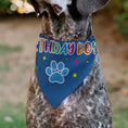 Load image into Gallery viewer, Pet Bandana - BIRTHDAY BOY Text Paw and Confetti Blue/Multi Color