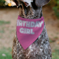 Load image into Gallery viewer, Pet Bandana - BIRTHDAY GIRL Text Pinks/White