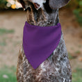 Load image into Gallery viewer, Pet Bandana - BIRTHDAY GIRL Text Purples/White