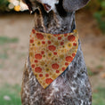 Load image into Gallery viewer, Pet Bandana - Fall Harvest Pumpkins and Flowers Collage Tan/Orange/Yellows