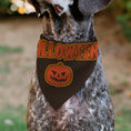 Load image into Gallery viewer, Pet Bandana - HALLOWEEN Jack-O-Lantern Pumpkin Black/Orange