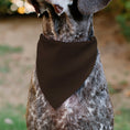 Load image into Gallery viewer, Pet Bandana - HALLOWEEN Jack-O-Lantern Pumpkin Black/Orange