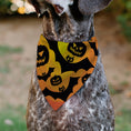 Load image into Gallery viewer, Pet Bandana - Halloween Bats and Jack-O-Lanterns Pumpkins Orange/Black