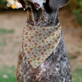 Load image into Gallery viewer, Pet Bandana - Holiday Decorated Gingerbread Cookies Collage Tan