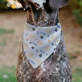 Load image into Gallery viewer, Pet Bandana - Holiday Hanukkah Menorah and Gifts Collage White
