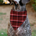 Load image into Gallery viewer, Pet Bandana - Holiday Pajama Plaid Red/Black/White