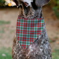 Load image into Gallery viewer, Pet Bandana - Holiday Pajama Plaid Beige/Red/Green