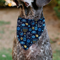 Load image into Gallery viewer, Pet Bandana - Hanukkah Holiday Symbols Black/Blues/Yellow