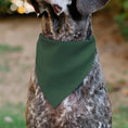 Load image into Gallery viewer, Pet Bandana - PET ME Text and Paw Olive/Pinks/Brown