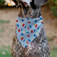 Load image into Gallery viewer, Pet Bandana - Stars and Stripes Desserts Scattered Baby Blue/Red/White/Blue