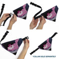 Load image into Gallery viewer, Pet Bandana - Alice in Wonderland Cheshire Cat Smiling Pose