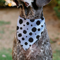 Load image into Gallery viewer, Pet Bandana - 101 Dalmatians Cruella's Spots White/Black