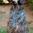Load image into Gallery viewer, Pet Bandana - Disney Princess Dogs 4-Dog Group Collage/Paws Blues