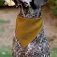 Load image into Gallery viewer, Pet Bandana - Up Dug Pose and Wilderness Explorer Badge Orange