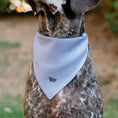 Load image into Gallery viewer, Pet Bandana - Disney Dogs 9-Dog Group Collage/Stars White/Black/Yellow