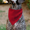 Load image into Gallery viewer, Pet Bandana - Mickey Mouse Face Character Close-Up Red