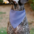 Load image into Gallery viewer, Pet Bandana - Mickey Mouse Ears Flower Icon Scattered Pink