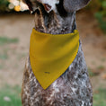 Load image into Gallery viewer, Pet Bandana - Disney Fab Five ORIGINAL BUDDIES Group Pose Black