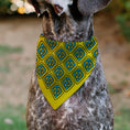 Load image into Gallery viewer, Pet Bandana - Scooby Doo Logo Centered and Collage Blue/Yellow