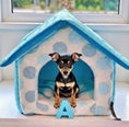 Load image into Gallery viewer, Parisian Pet 'Cotton Candy House' (S) for Dogs & Cats - Soft, Cozy, Durable, Washable Blue Pet House for Small Pets