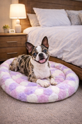Load image into Gallery viewer, Parisian Pet 'Cotton Candy Mat' for Dogs & Cats - Soft, Durable, Lightweight, Washable Pink Mat for Small Pets, Perfect for Travel