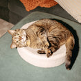Load image into Gallery viewer, Kip Cat Cushion