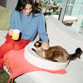 Load image into Gallery viewer, Kip Cat Cushion