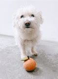 Load image into Gallery viewer, DOGGY PEACH - Southlake Paws