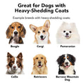 Load image into Gallery viewer, THE SHEDDER