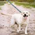 Load image into Gallery viewer, Philadelphia Eagles Zubaz Leash
