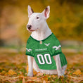 Load image into Gallery viewer, Philadelphia Eagles Throwback Jerseys by Pets First
