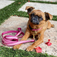 Load image into Gallery viewer, Pink Gingham Small Breed Dog Collar