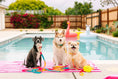 Load image into Gallery viewer, Pippa All Weather Dog Leash