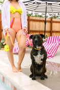 Load image into Gallery viewer, Katelin All Weather Dog Leash