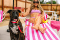 Load image into Gallery viewer, Katelin All Weather Dog Leash