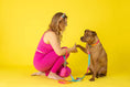 Load image into Gallery viewer, Pippa Dog Collar