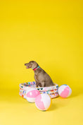 Load image into Gallery viewer, Pippa Dog Collar