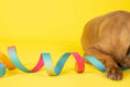 Load image into Gallery viewer, Pippa All Weather Dog Leash