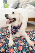 Load image into Gallery viewer, Riley Dog Bandana