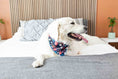 Load image into Gallery viewer, Riley Dog Bandana