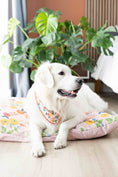 Load image into Gallery viewer, Penelope Dog Bandana