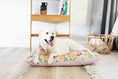 Load image into Gallery viewer, Penelope Dog Bandana