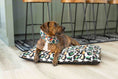 Load image into Gallery viewer, Beckett Dog Bandana