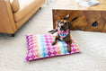 Load image into Gallery viewer, Everly Dog Bandana