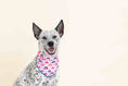 Load image into Gallery viewer, Clarke Dog Bandana