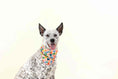 Load image into Gallery viewer, Amelia Dog Bandana