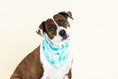 Load image into Gallery viewer, Capri Dog Bandana